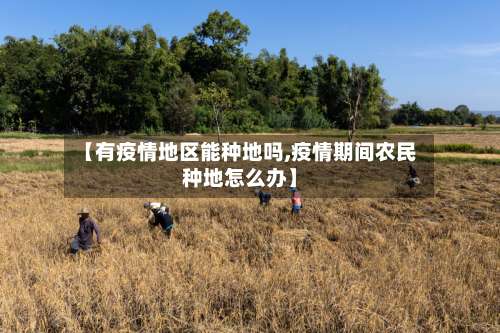 【有疫情地区能种地吗,疫情期间农民种地怎么办】-第2张图片