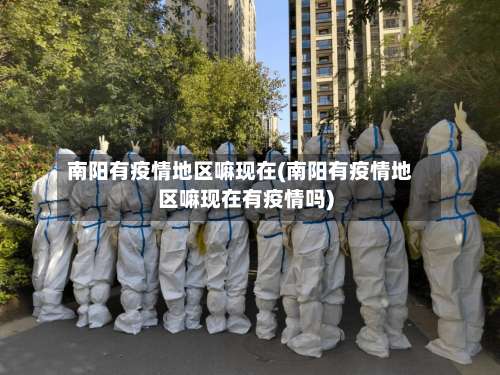 南阳有疫情地区嘛现在(南阳有疫情地区嘛现在有疫情吗)-第2张图片