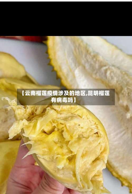 【云南榴莲疫情涉及的地区,昆明榴莲有病毒吗】-第1张图片