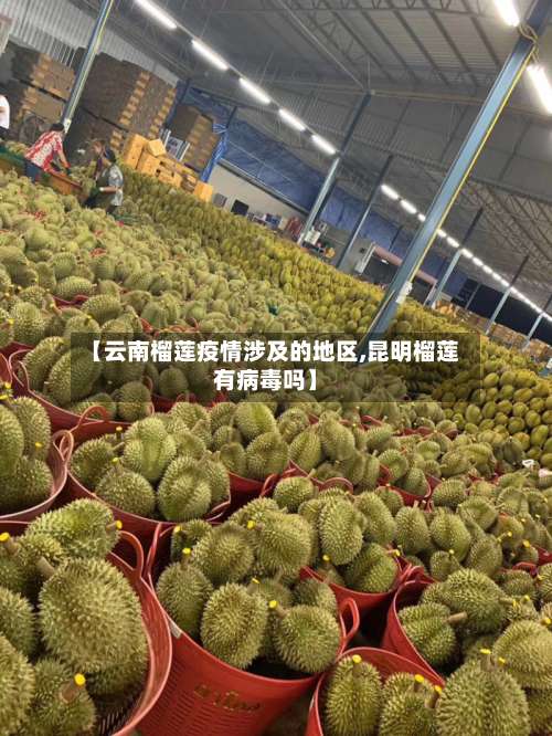 【云南榴莲疫情涉及的地区,昆明榴莲有病毒吗】-第2张图片