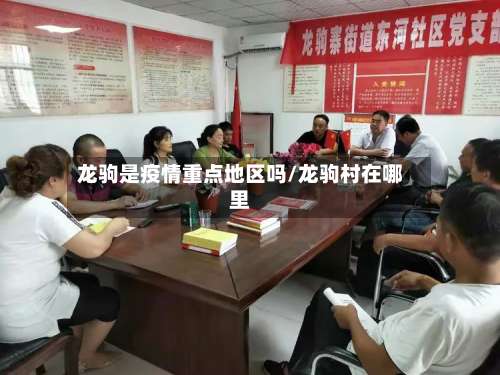 龙驹是疫情重点地区吗/龙驹村在哪里-第1张图片