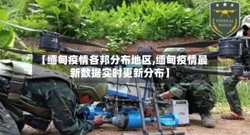 【缅甸疫情各邦分布地区,缅甸疫情最新数据实时更新分布】-第3张图片