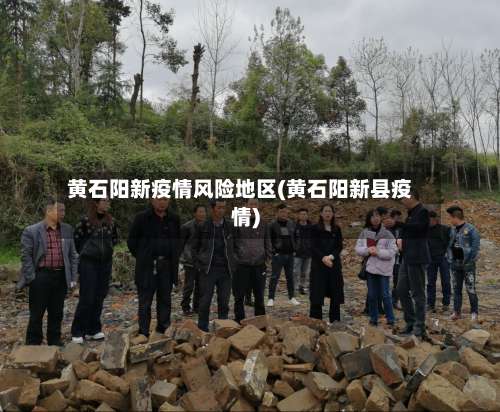 黄石阳新疫情风险地区(黄石阳新县疫情)-第1张图片