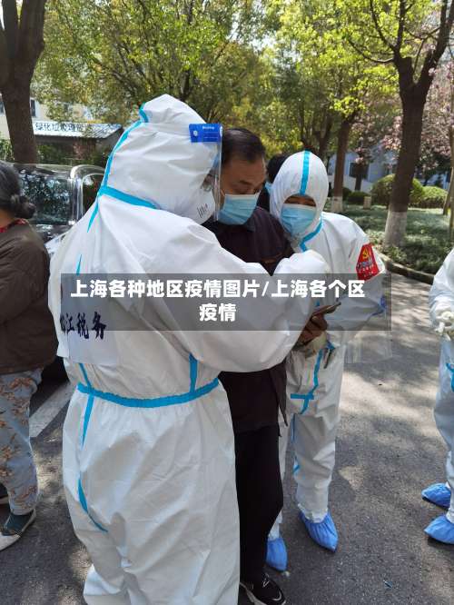 上海各种地区疫情图片/上海各个区疫情-第1张图片