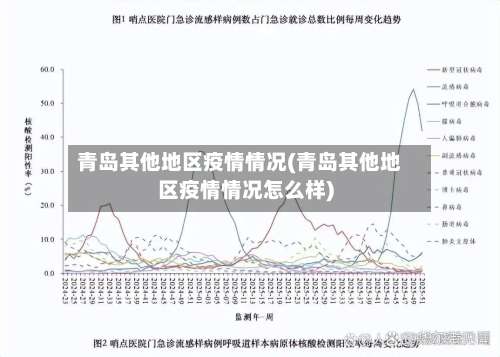 青岛其他地区疫情情况(青岛其他地区疫情情况怎么样)-第3张图片