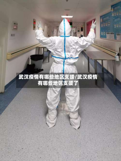 武汉疫情有哪些地区支援/武汉疫情有哪些地区支援了-第2张图片