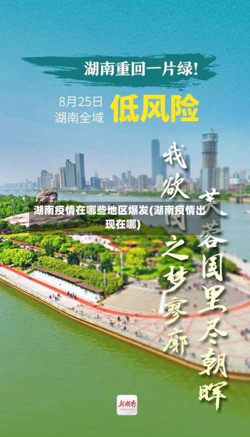 湖南疫情在哪些地区爆发(湖南疫情出现在哪)-第3张图片