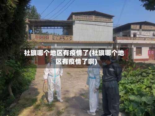 社旗哪个地区有疫情了(社旗哪个地区有疫情了啊)-第3张图片