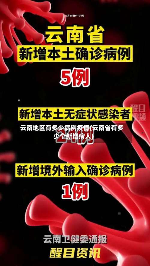 云南地区有多少病例疫情(云南省有多少个新增病人)-第2张图片