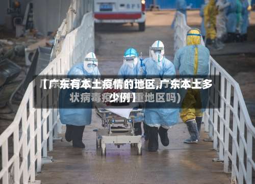 【广东有本土疫情的地区,广东本土多少例】-第1张图片