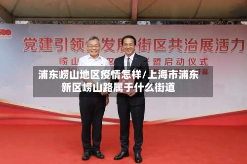 浦东崂山地区疫情怎样/上海市浦东新区崂山路属于什么街道-第1张图片