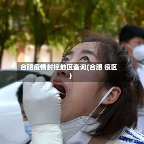 合肥疫情封控地区查询(合肥 疫区)-第2张图片