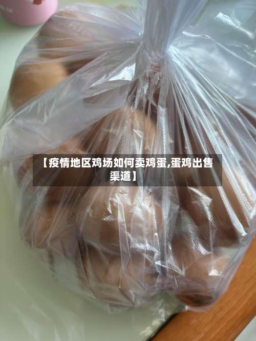【疫情地区鸡场如何卖鸡蛋,蛋鸡出售渠道】-第2张图片