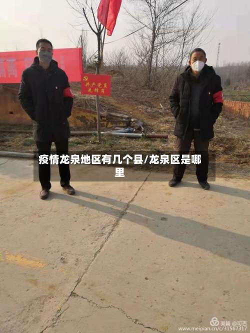 疫情龙泉地区有几个县/龙泉区是哪里-第2张图片
