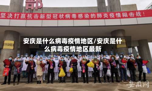 安庆是什么病毒疫情地区/安庆是什么病毒疫情地区最新-第2张图片