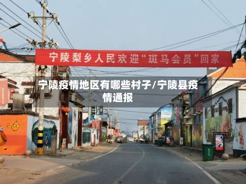 宁陵疫情地区有哪些村子/宁陵县疫情通报-第1张图片