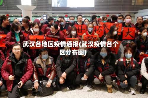 武汉各地区疫情通报(武汉疫情各个区分布图)-第1张图片