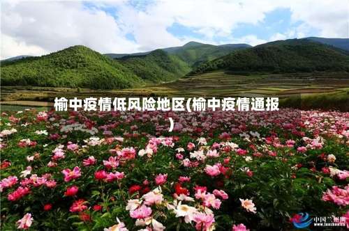 榆中疫情低风险地区(榆中疫情通报)-第2张图片