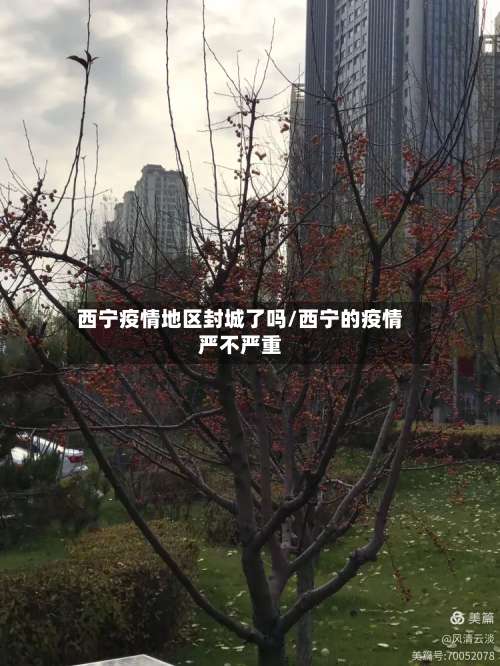 西宁疫情地区封城了吗/西宁的疫情严不严重-第1张图片