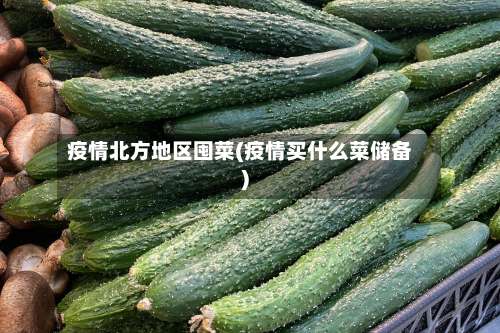 疫情北方地区囤菜(疫情买什么菜储备)-第1张图片
