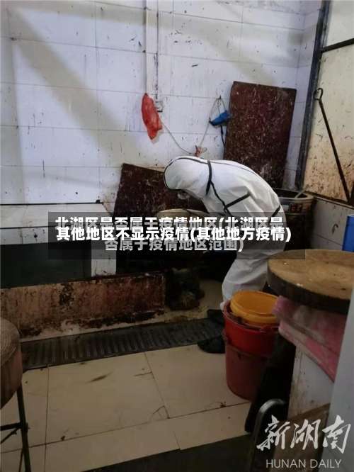 其他地区不显示疫情(其他地方疫情)-第1张图片