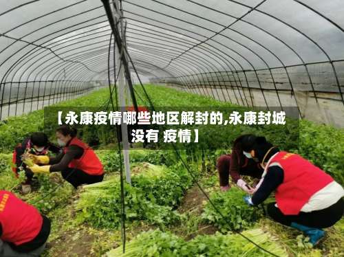 【永康疫情哪些地区解封的,永康封城没有 疫情】-第1张图片