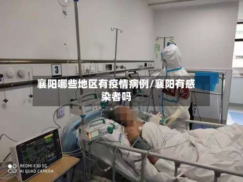 襄阳哪些地区有疫情病例/襄阳有感染者吗-第2张图片