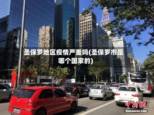 圣保罗地区疫情严重吗(圣保罗市是哪个国家的)-第2张图片