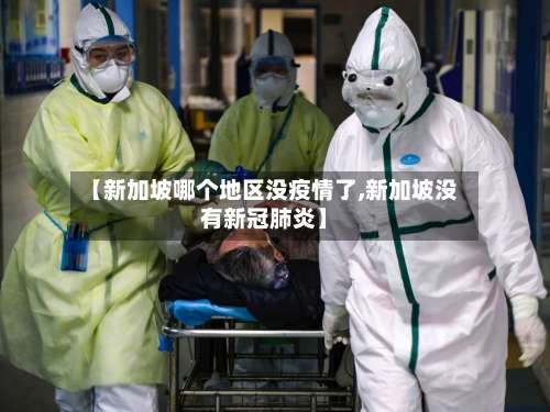 【新加坡哪个地区没疫情了,新加坡没有新冠肺炎】-第1张图片