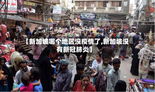 【新加坡哪个地区没疫情了,新加坡没有新冠肺炎】-第2张图片